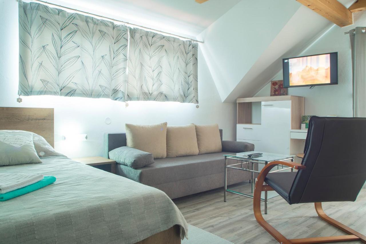 Studio Apartment Karlo Drežnik Grad Buitenkant foto