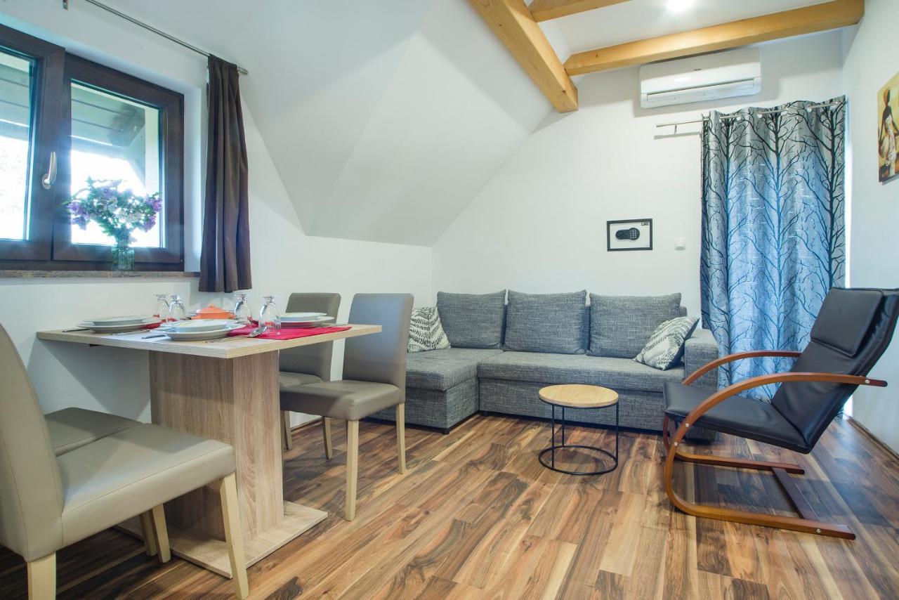 Studio Apartment Karlo Drežnik Grad Buitenkant foto