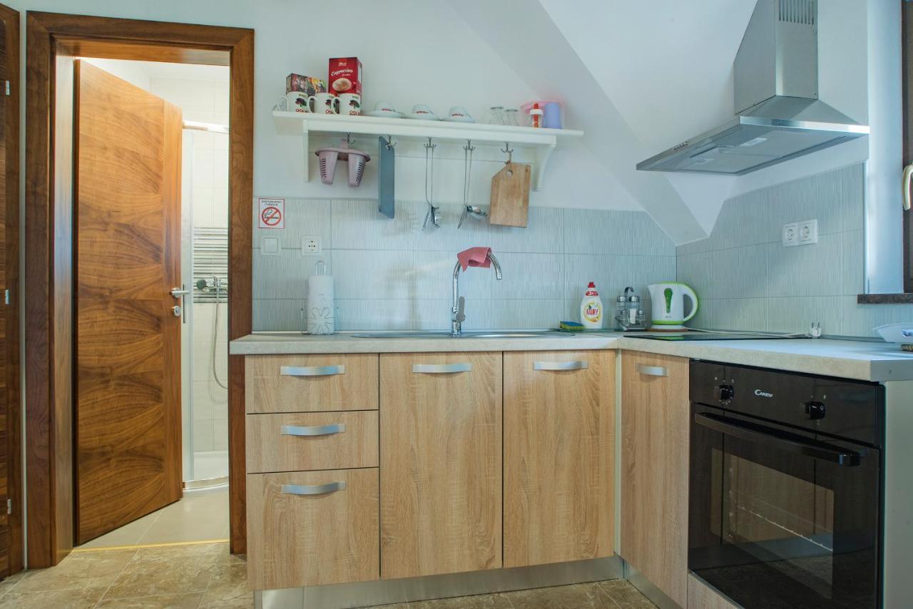 Studio Apartment Karlo Drežnik Grad Buitenkant foto