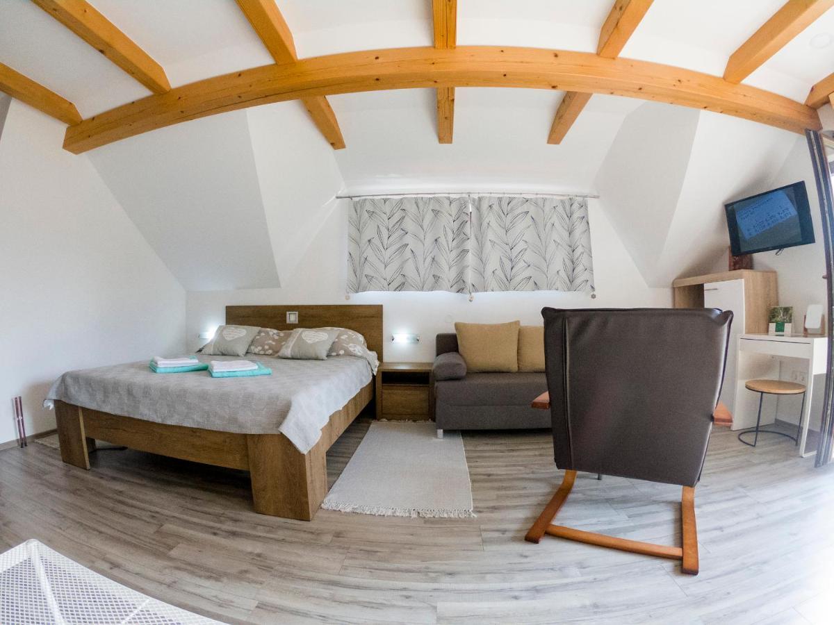Studio Apartment Karlo Drežnik Grad Buitenkant foto