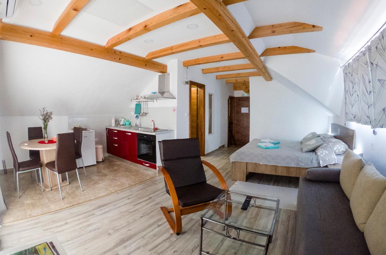 Studio Apartment Karlo Drežnik Grad Buitenkant foto