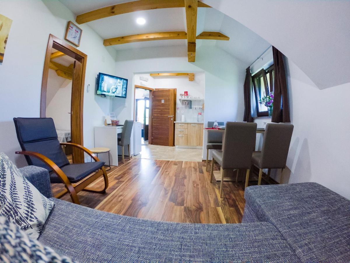 Studio Apartment Karlo Drežnik Grad Buitenkant foto
