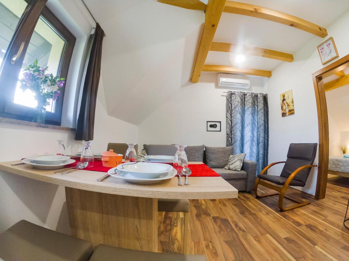Studio Apartment Karlo Drežnik Grad Buitenkant foto